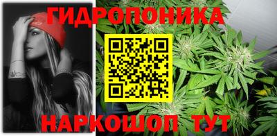 твердый Пушкино