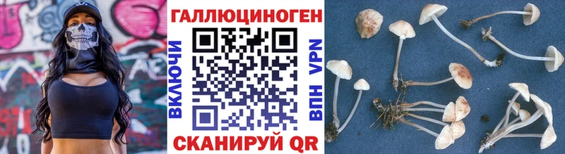 даркнет сайт Фролово Галлюциногенные грибы MAGIC MUSHROOMS