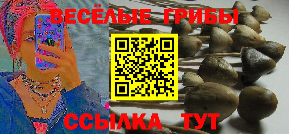 Галлюциногенные грибы ЛСД  Вход с VPN  цена   Псилоцибиновые грибы прущие грибы  Фролово 