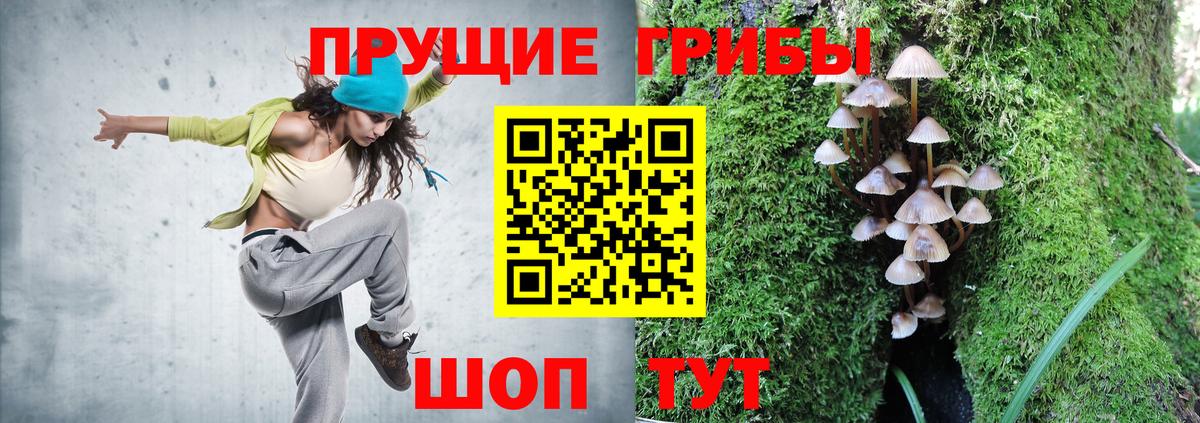 Галлюциногенные грибы мицелий Фролово